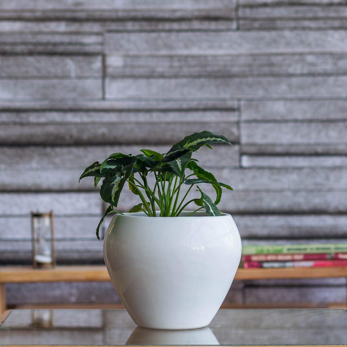 Picture of Ceramic Pots